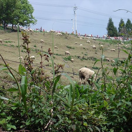 Winlu Vacation Farm Villa Renai Bagian luar foto