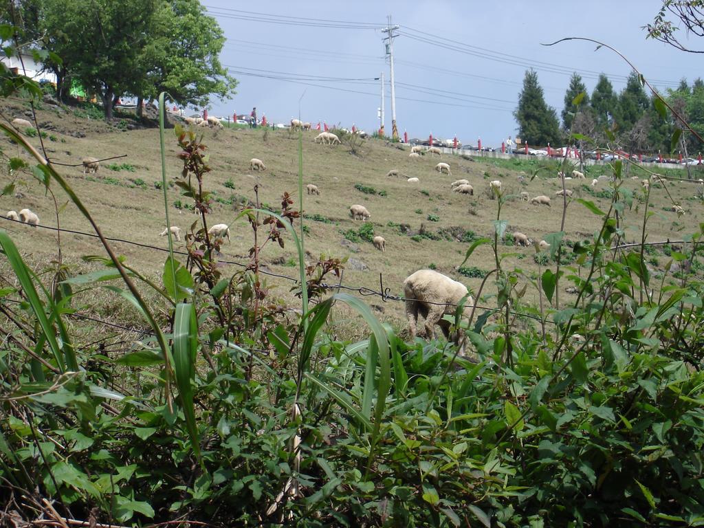 Winlu Vacation Farm Villa Renai Bagian luar foto