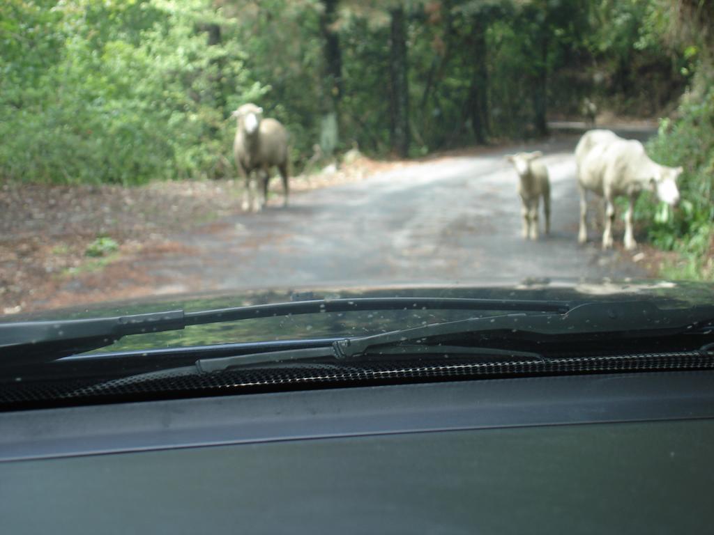 Winlu Vacation Farm Villa Renai Bagian luar foto